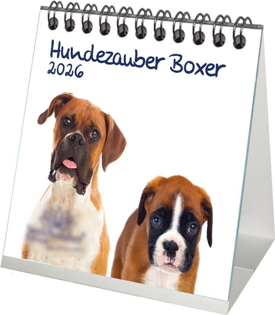 Hundezauber Boxer Tischkalender 10cm x 10cm für 2026 Welpen und Hunde - Set-Inhalt: 1x Kalender 1x Weihnachtsanhänger 1x Grußanhänger (gesamt 3...