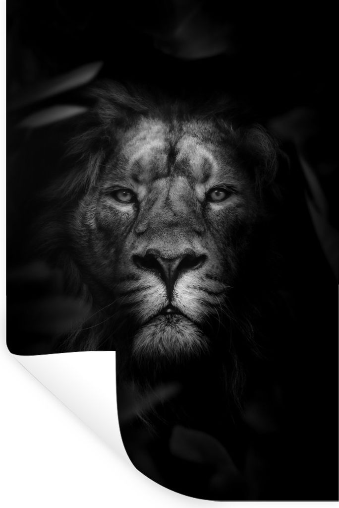 MuchoWow Wandtattoo Wandsticker Wandaufkleber Porträt eines Löwen mit Blättern im Dschungel - schwarz und weiß 20x30 cm Selbstklebend und Rep...
