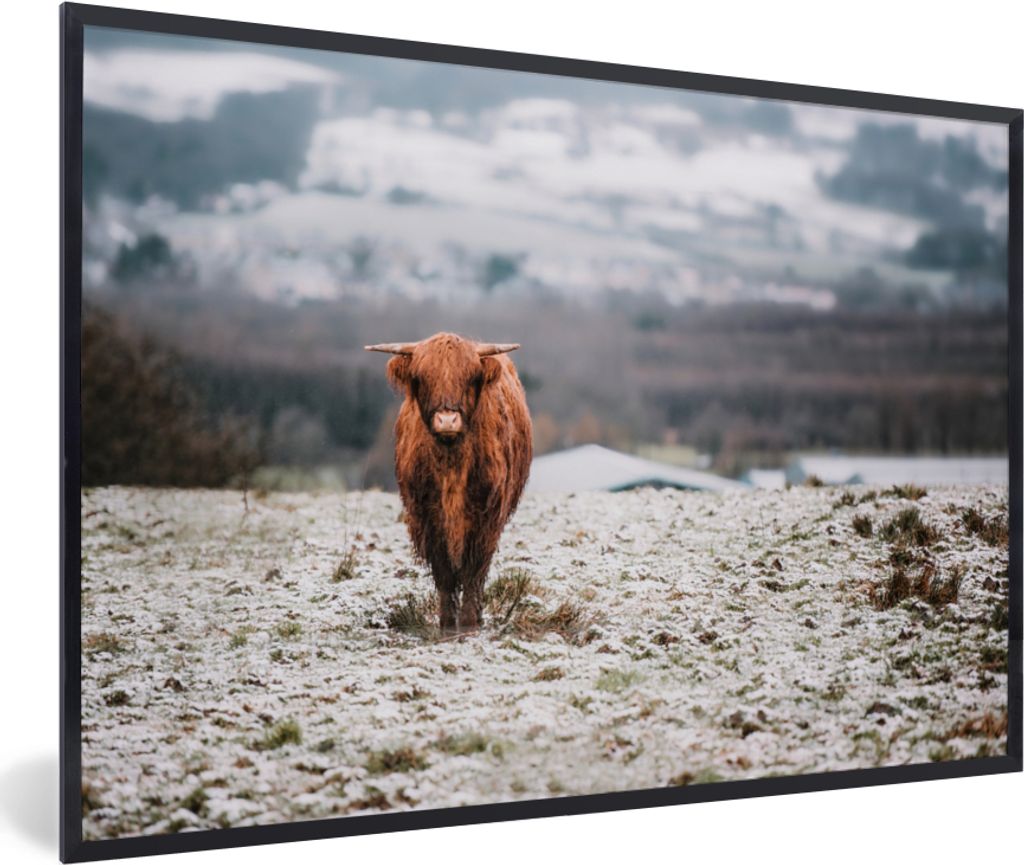 MuchoWow Gerahmtes Poster Schottischer Highlander - Schnee - Himmel 60x40 cm - Poster mit Schwarzem Bilderrahmen Wandposter Rahmen Foto Bilder - ...