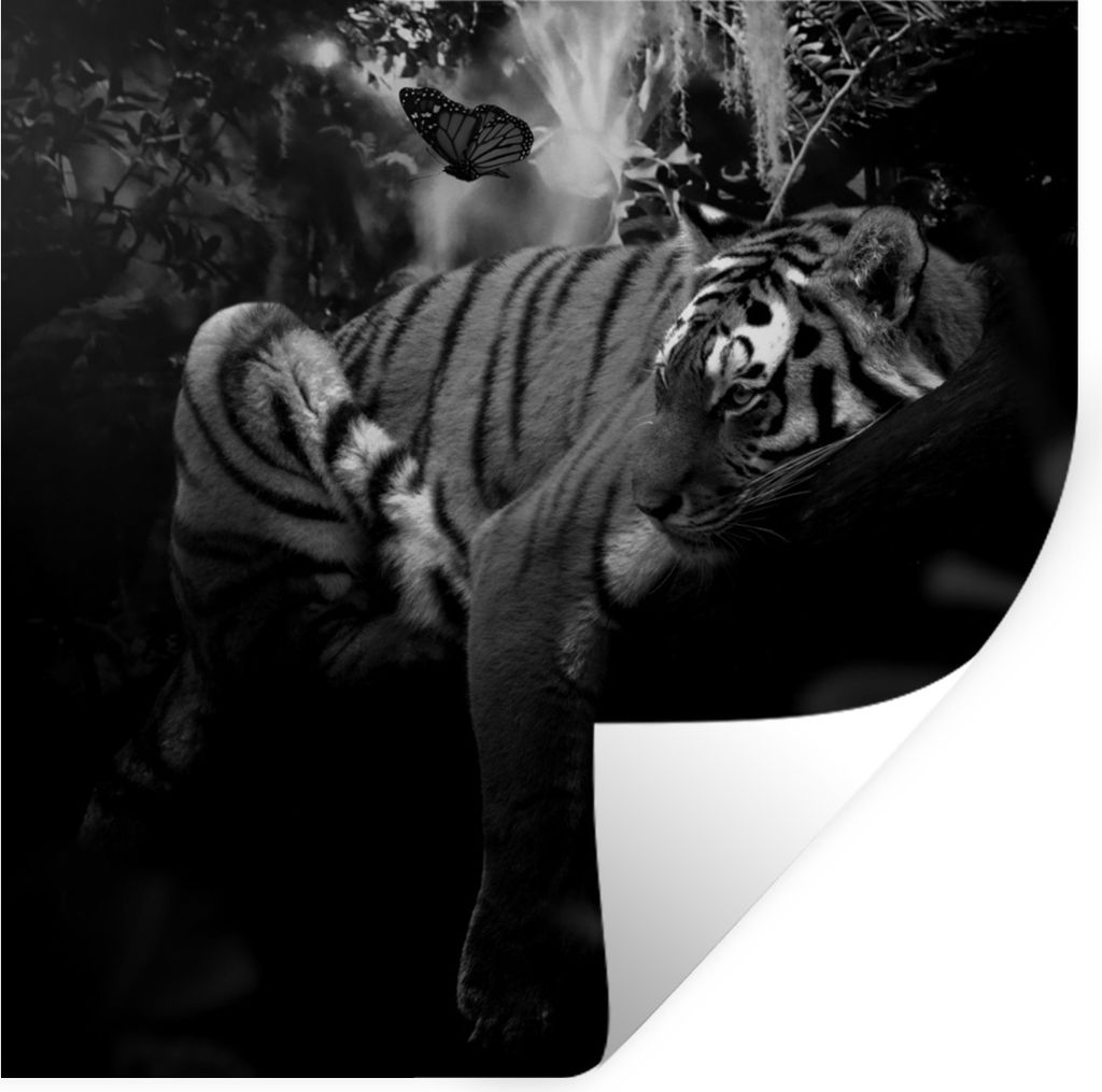 MuchoWow Wandtattoo Wandsticker Wandaufkleber Schmetterling - Dschungel - Tiger - Schwarz - Weiß 80x80 cm Selbstklebend und Repositionierbar - W...
