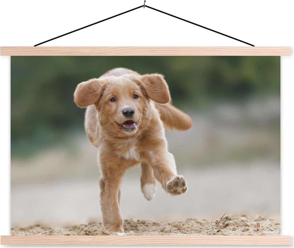 MuchoWow Textilposter Ein Golden Retriever Welpe 120x80 cm mit holzfarbenen Rahmen - Aufhängeset