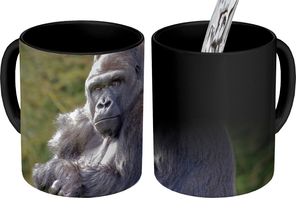 MuchoWow Zauber Tasse Zaubertasse Magic Großer Gorilla schaut direkt in die Kamera 350 ml Farbwechsel Becher Geschenk Geschenkidee - Magic-Tasse...
