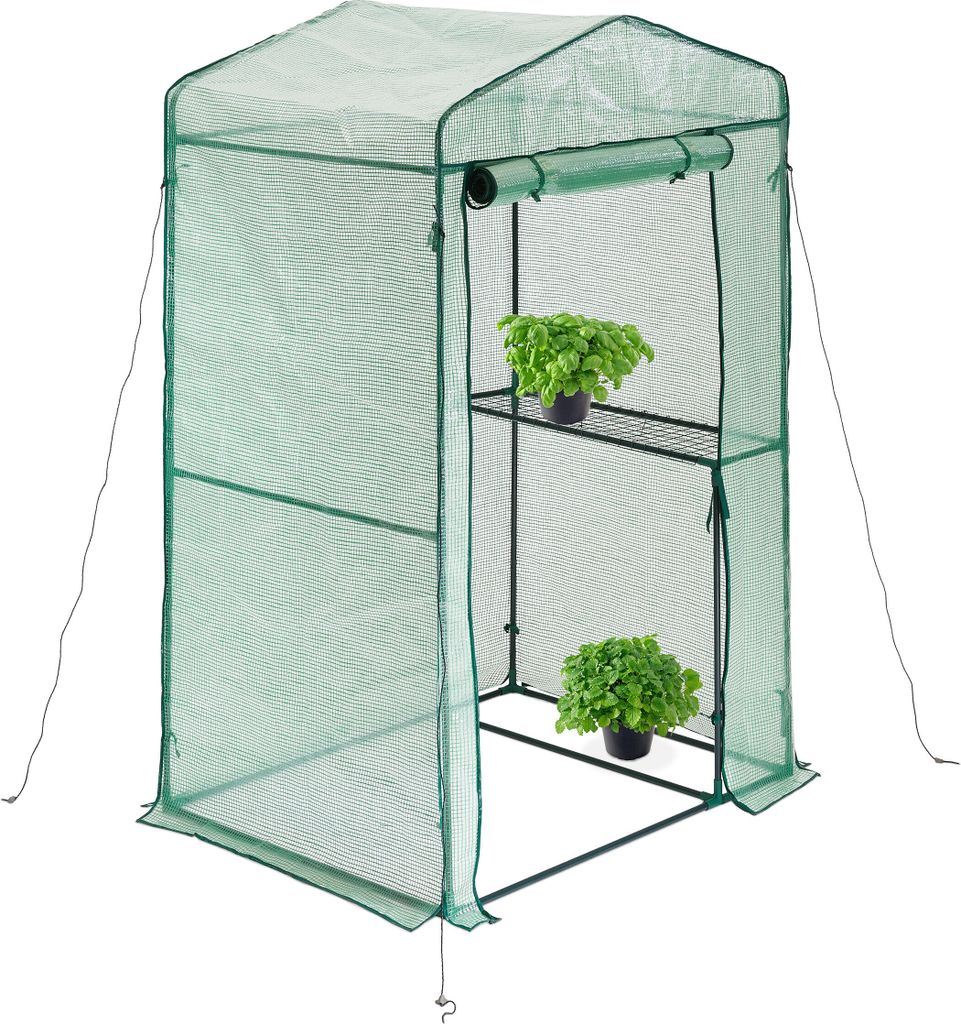 Serre avec étagère RD41451 - Serre avec porte enroulable Image du produit 