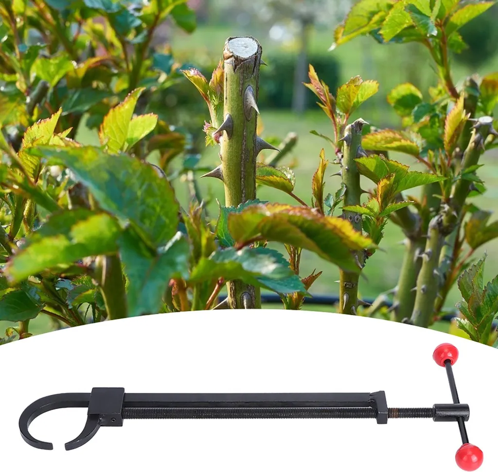Outil pour Courber les Branches de Bonsaï Création de Formes de Tronc - 2