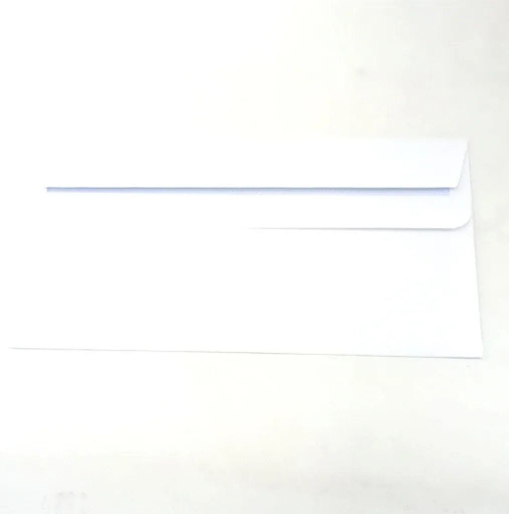 Enveloppes pour courrier administratif 110 x 220 mm Purely Everyday DL pro