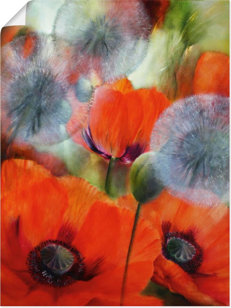 ARTland Poster Mohn und Pusteblumen Größe: 30x40 cm