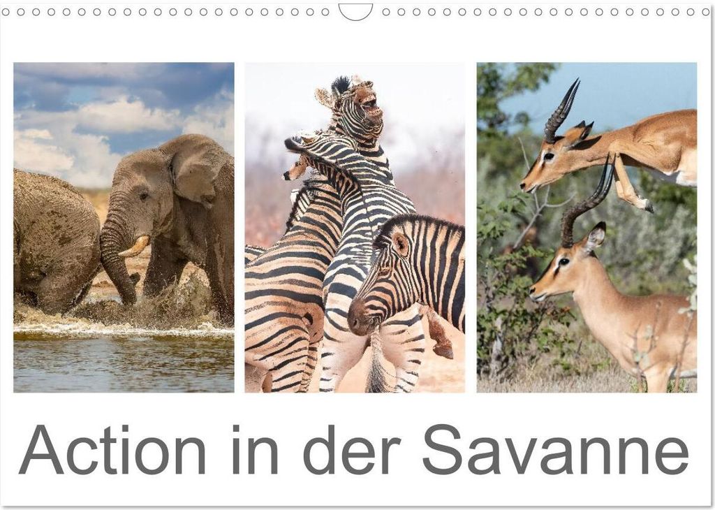 Action in der Savanne (Wandkalender 2026 DIN A3 quer), CALVENDO Monatskalender