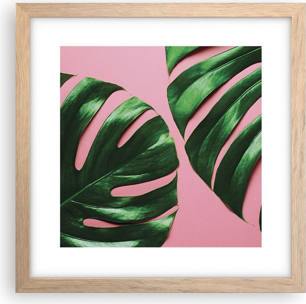 Gerahmtes Poster - Rahmen in heller Eiche - Monstera Blatt Rosa - 30x30 cm - Wand Bild - Wanddeko - Wandbilder - Kunstposter - Wandposter - Bilderr...