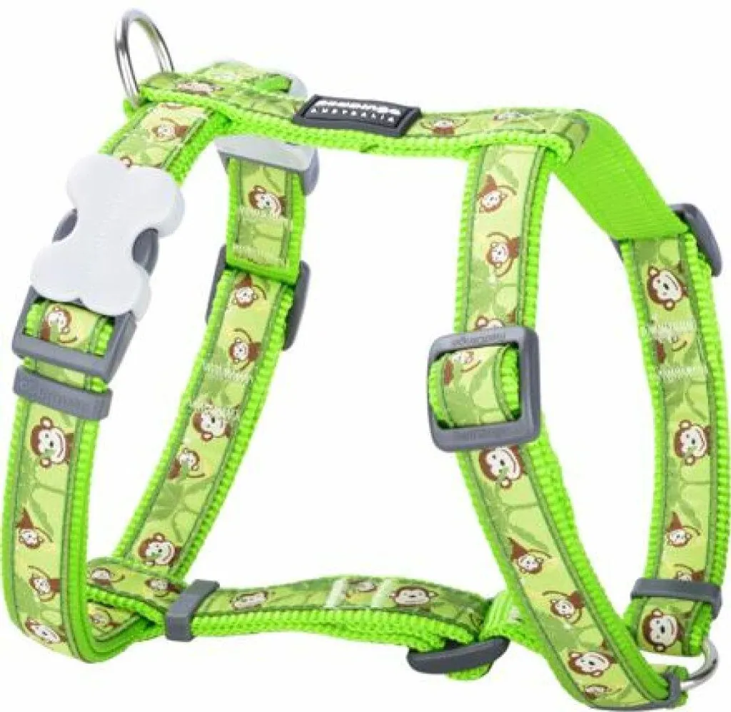 Imbracatura Red Dingo Scimmia Verde Lime 15mm x 36-54cm | Offerta Pet