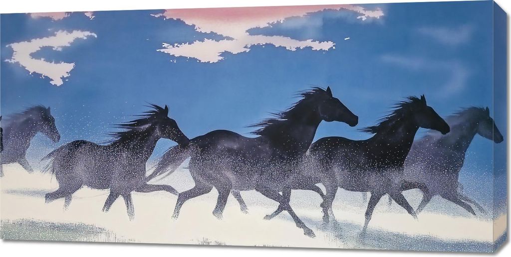 Bild 100x50cm Freiheit und Freiheit