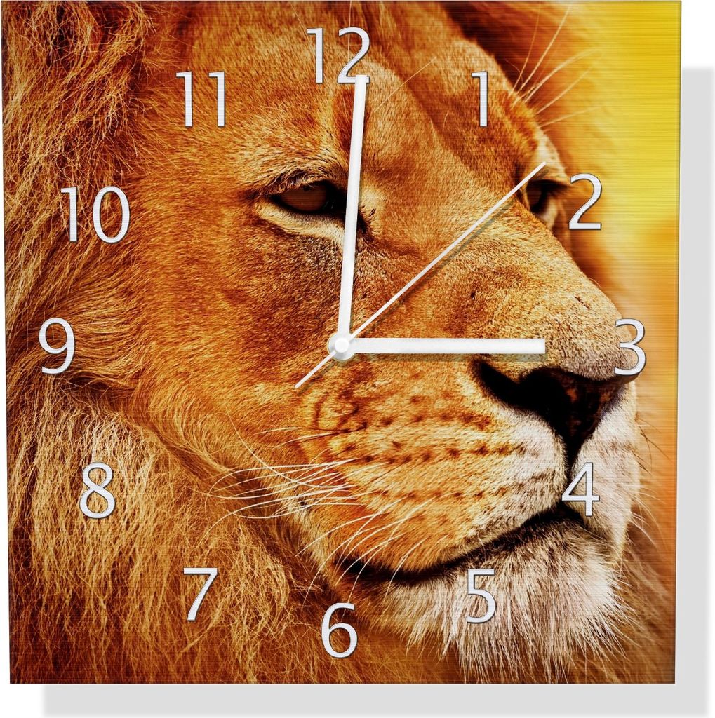 Wallario Design Wanduhr Prächtiger Löwe in der Savanne aus Aluverbund, Größe 30 x 30 cm