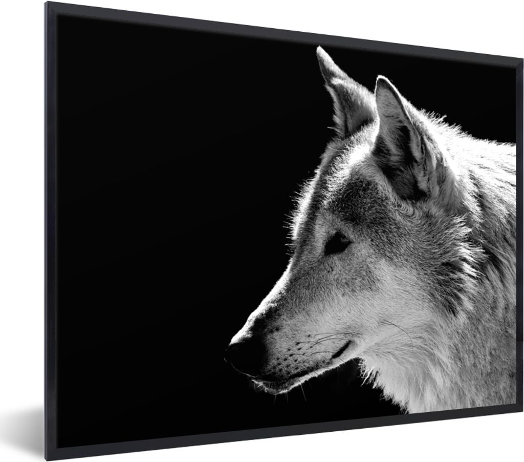 MuchoWow Gerahmtes Poster Wildlife - Wolf - Schwarz - Weiß 40x30 cm - Poster mit Schwarzem Bilderrahmen Wandposter Rahmen Foto Bilder - Kunstpos...