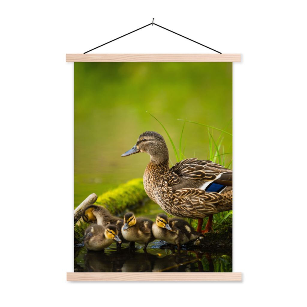 MuchoWow Textilposter Ente - Vögel - Wasser - Zweig - Moos 60x80 cm mit holzfarbenen Rahmen - Wandbild