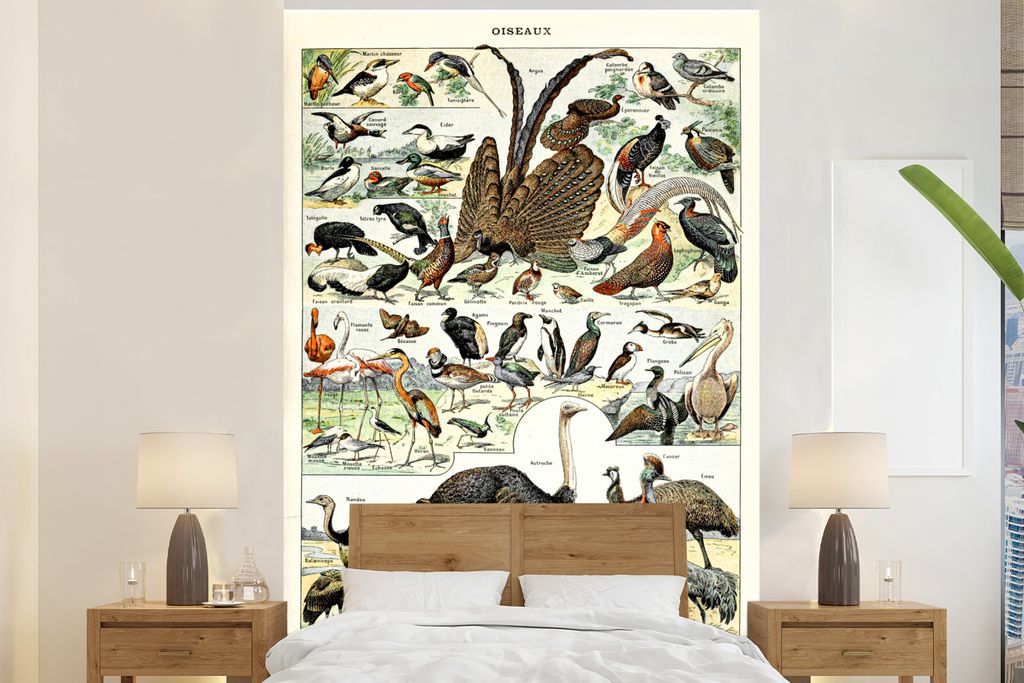 MuchoWow Fototapete für Wohnzimmer oder Schlafzimmer Wandtapete Vinyl Motivtapete Vogel - Natur - Tiere - Vintage - Kunstwerk - 180x280 cm - Wal...