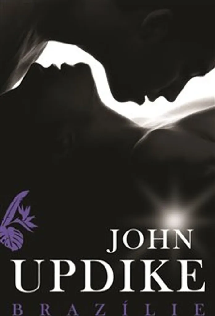 Brazílie John Updike - Roman d'Amour Intense et Épique Format Broché
