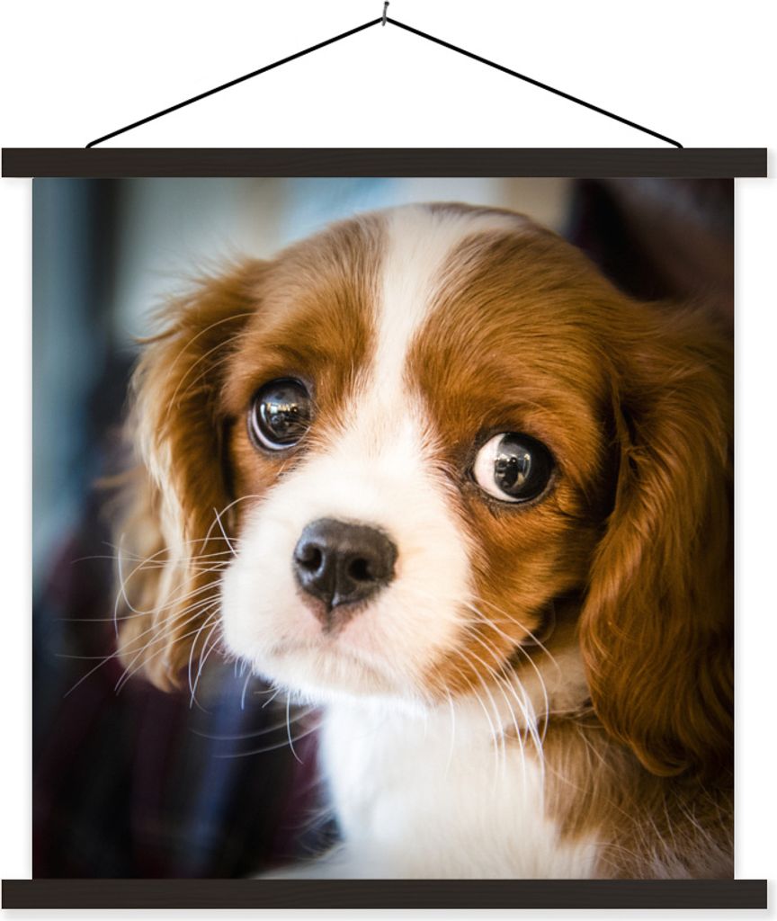 MuchoWow Textilposter Ein Porträt eines jungen Welpen 90x90 cm mit schwarzem Rahmen - Magnetisches