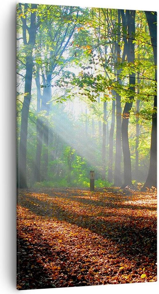 Bild auf Leinwand - Leinwandbild - Wald Blätter Sonne - 55x100cm - Wand Bild - Wanddeko - Leinwanddruck - Bilder - Kunstdruck - Wanddekoration - L...