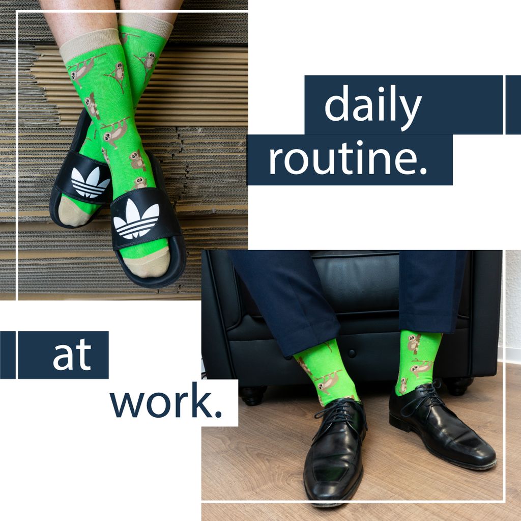 TwoSocks lustige Socken 4er-Set - Alpaka Socken, Faultier Produktbild 9