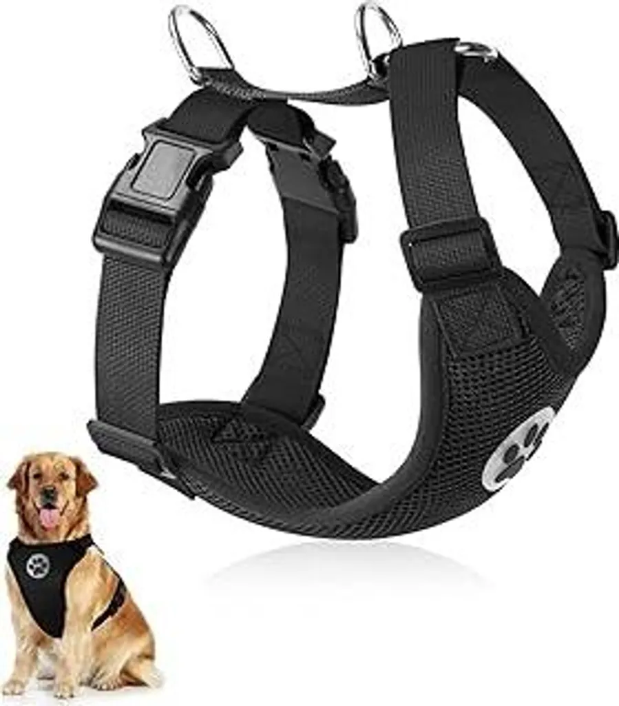 Migliore Pettorina Cane Media Taglia SlowTon: Comfort e Stile Unici