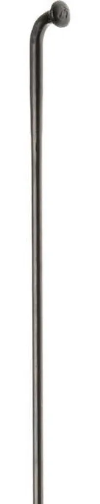Rayon DT Swiss Revolution 258 mm pour Montage de Roues Légères Noir 500