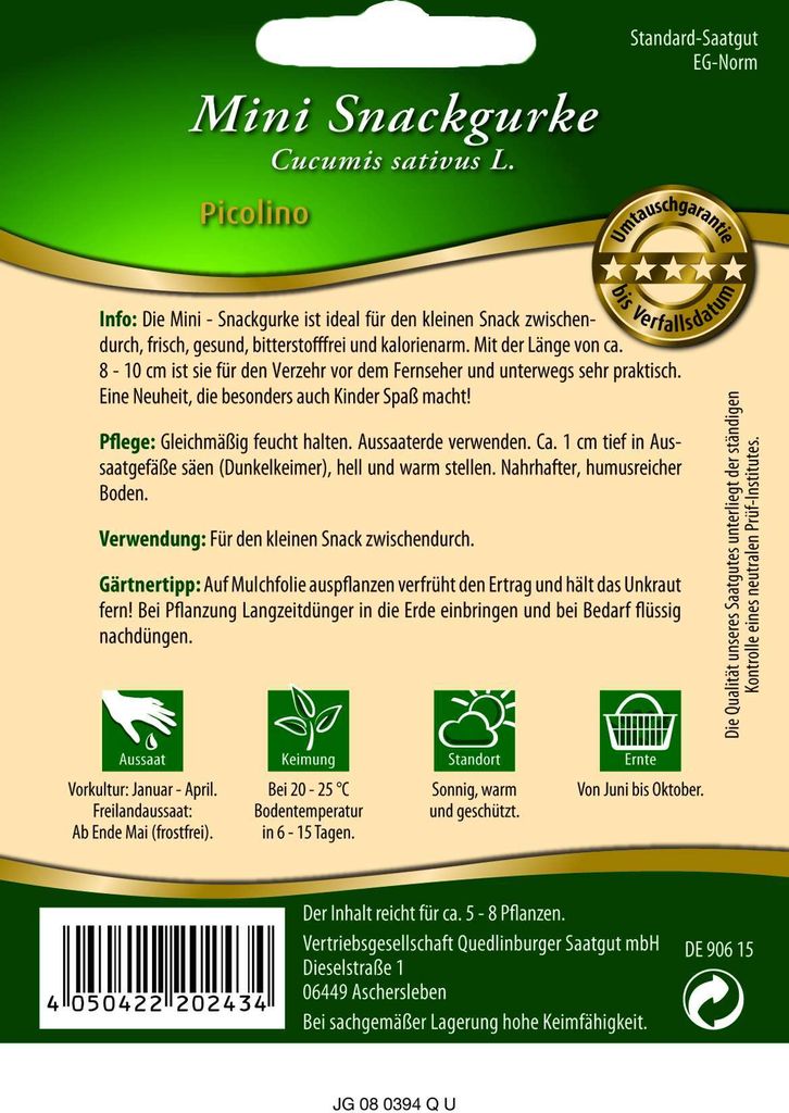 Quedlinburger Saatgut - Mini-Snackgurken Picolino - Samen - Produktbild 2