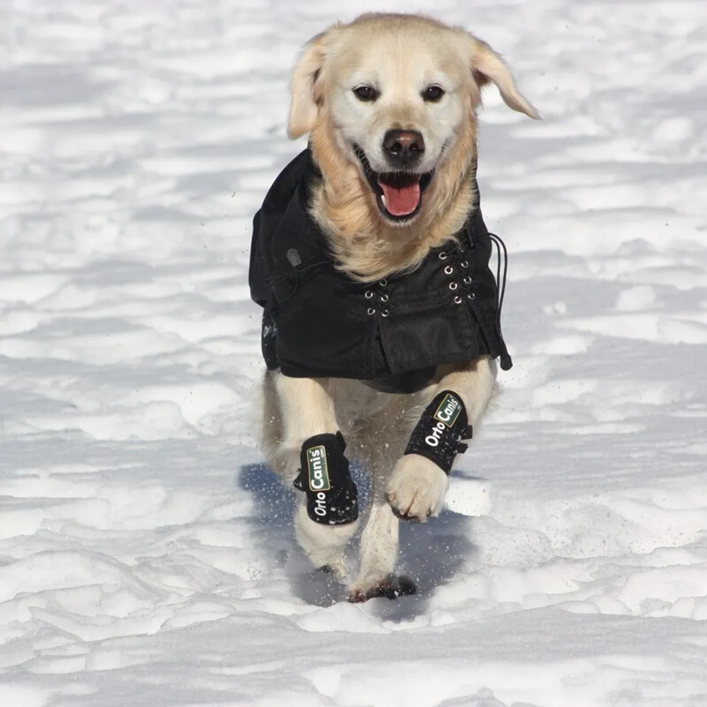 Manteau imperméable pour chiens Back on Track protection extérieure - 4