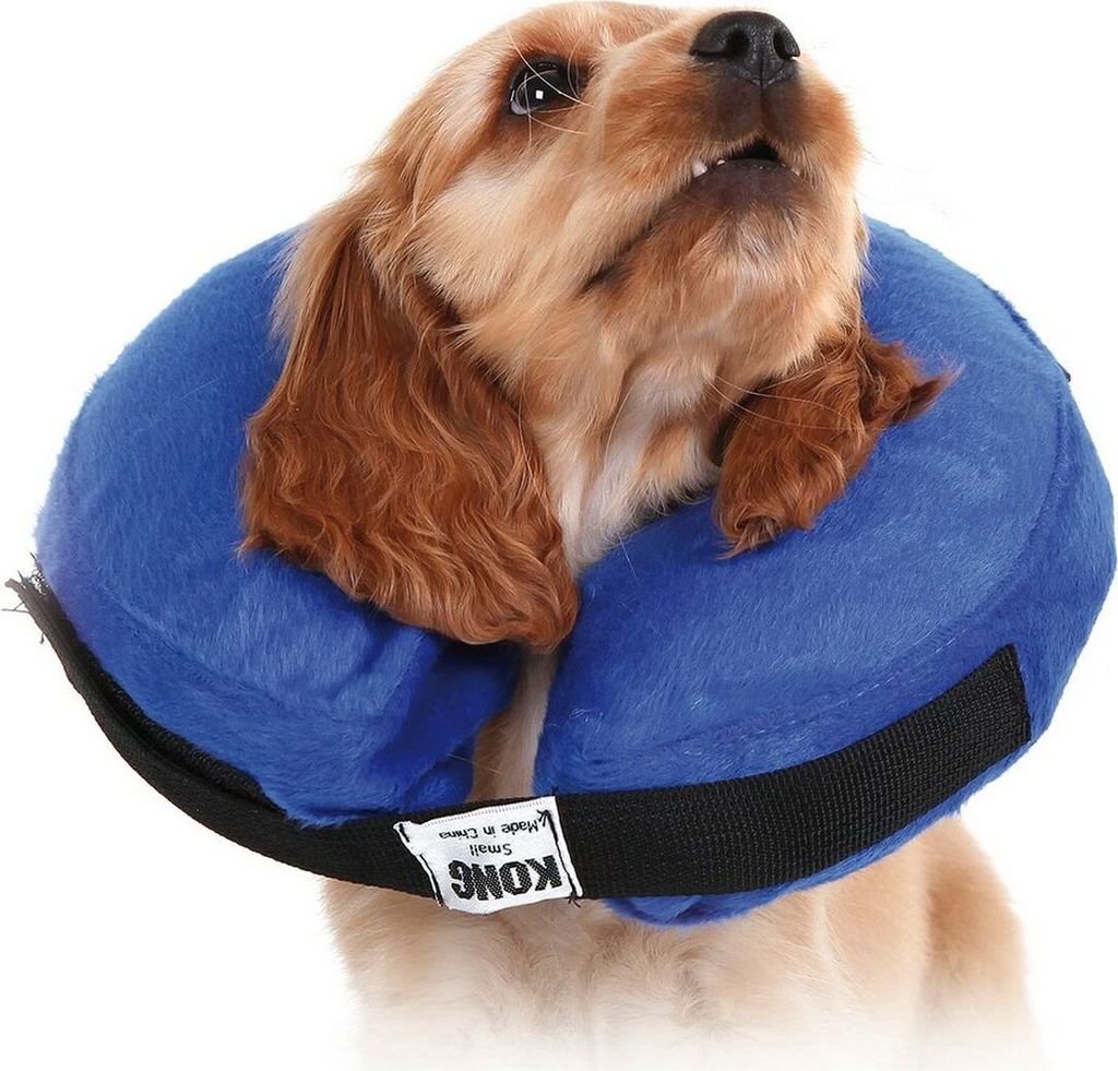 Genesungshalsband für Hunde KVP Kong Cloud Blau Aufblasbar