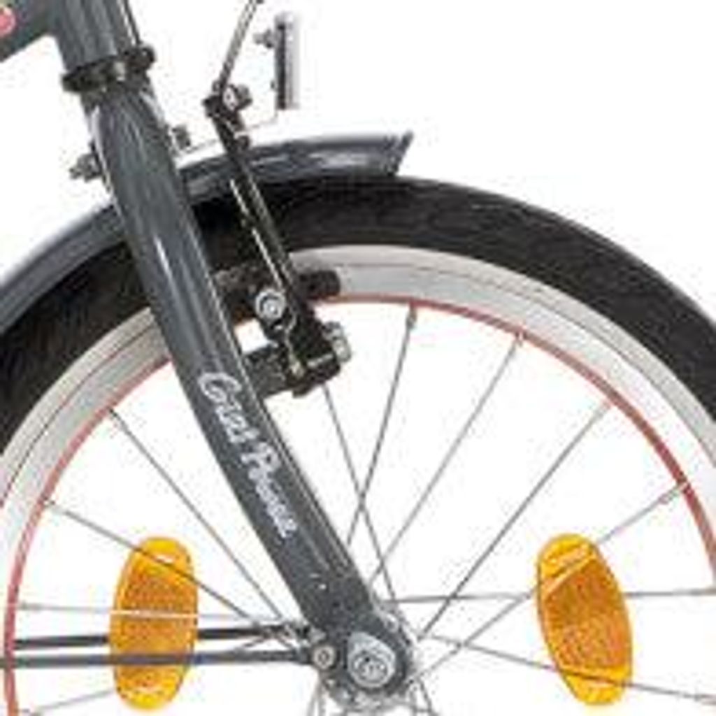 Alpina Fahrradgabel 16 Zoll für Mädchen Rockgrau Girlpower Serie