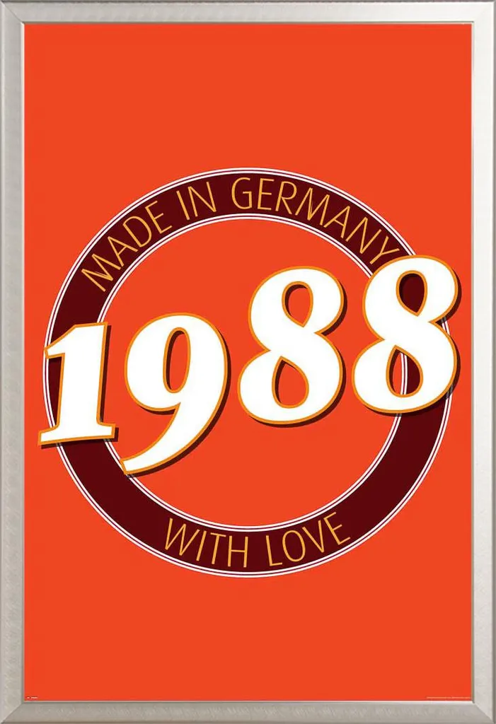 Poster 1988 Germany Shinsuke Cornice Argento Alluminio e Acrilico