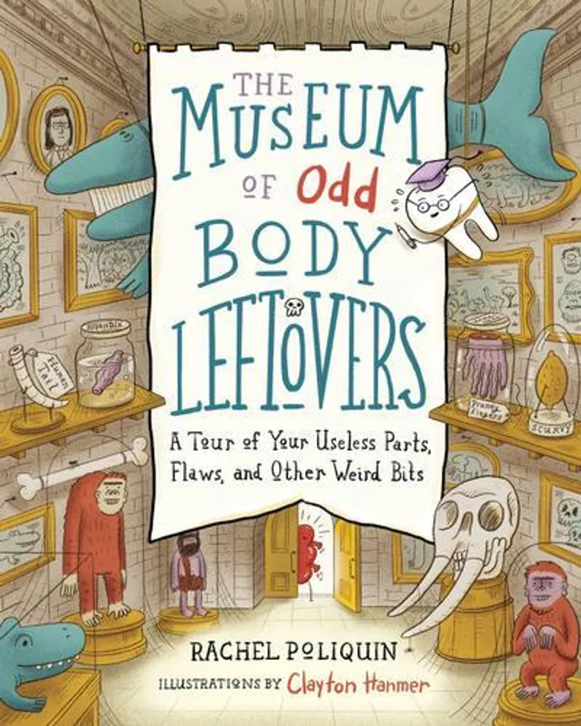 Libro Il Museo degli Avanzi di Corpi Strani - Edizione di Pregio