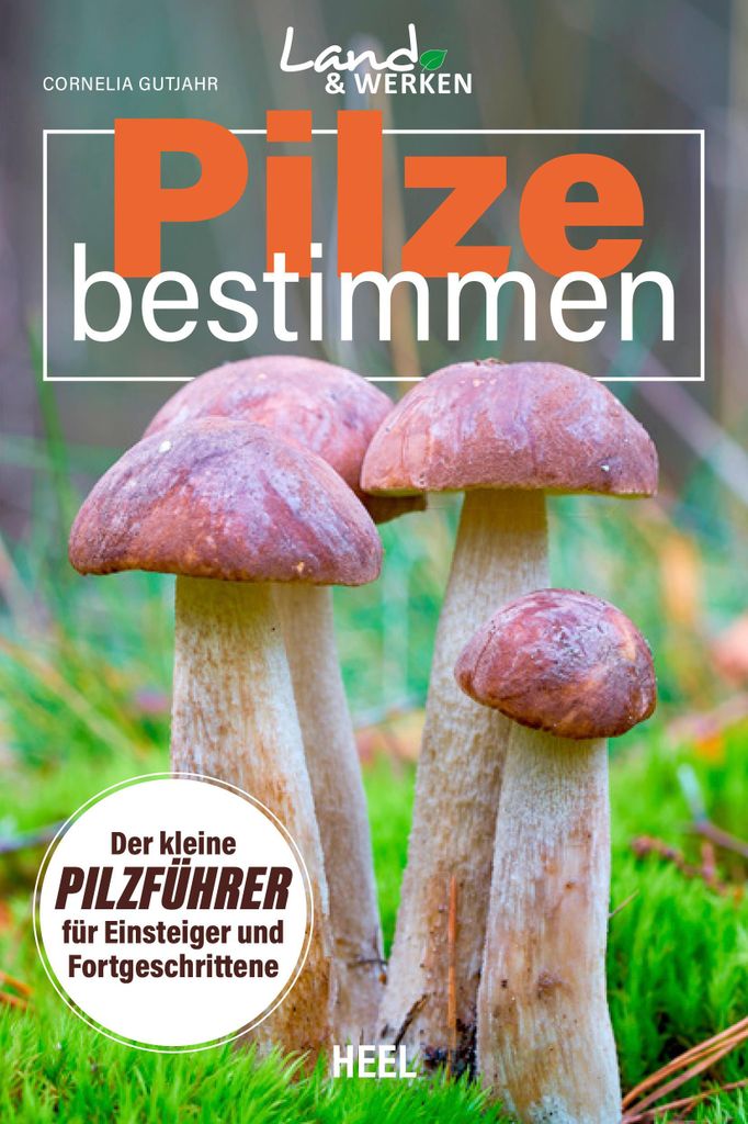 Pilze bestimmen - Der kleine Pilzführer für Einsteiger und Produktbild 