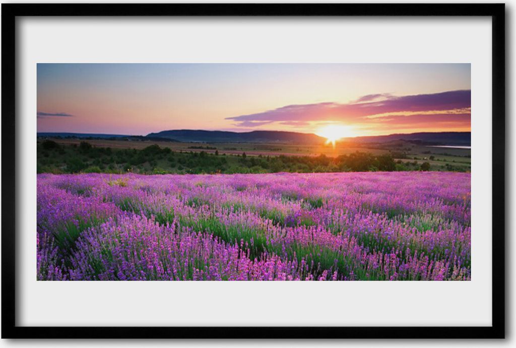 Bild 60x40 MDF-Rahmen Wandkunst West Meadow Lavender Fields
