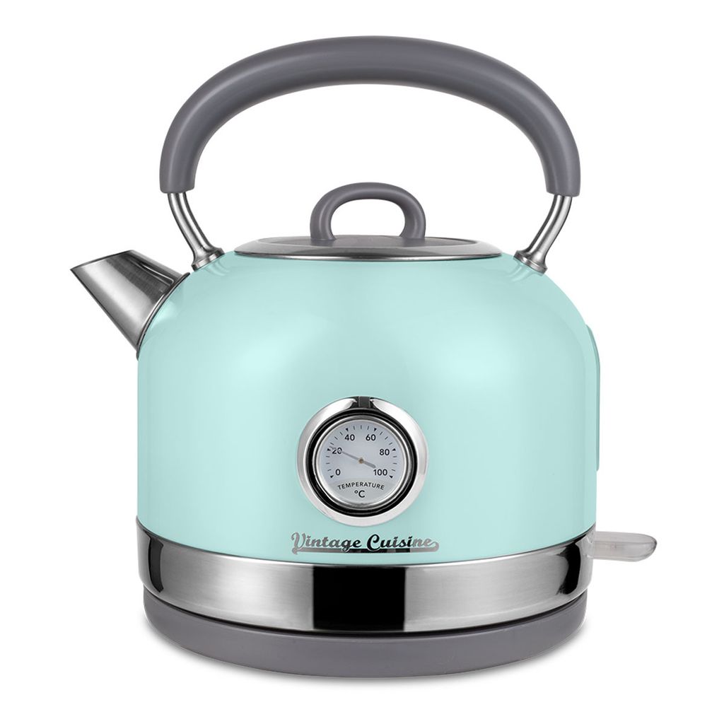 A mint-colored electric kettle with a built-in thermometer and a gray handle, shown on a white background.