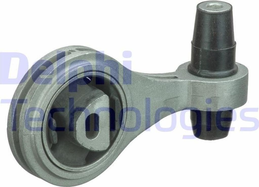 DELPHI Motorlager Hinten für FIAT Doblo Cargo (223) TEM088