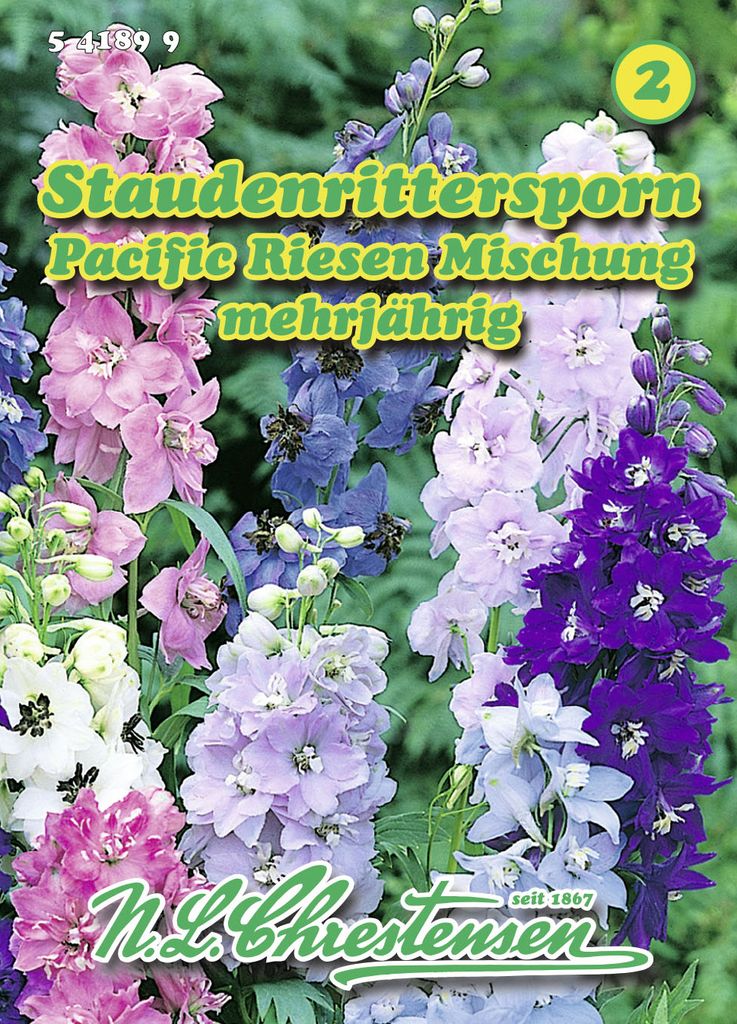 Staudenrittersporn Pacific Riesen Mischung | Ritterspornsamen von N.L. Chrestensen