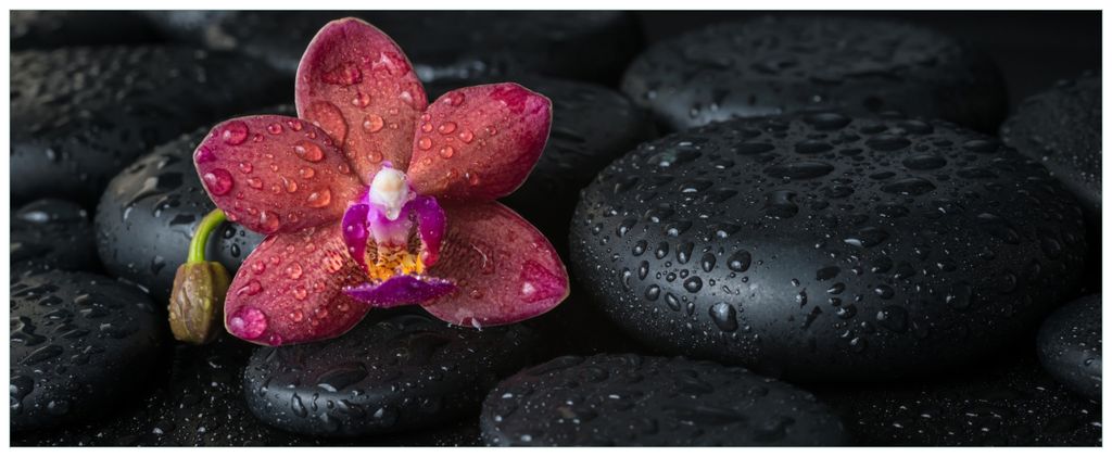 Wallario Premium Glasbild, freischwebende Optik, kräftige Farben, Größe 125 x 50 cm Motiv Orchideen-Blüte auf schwarzen Steinen, benetzt mit Wa...