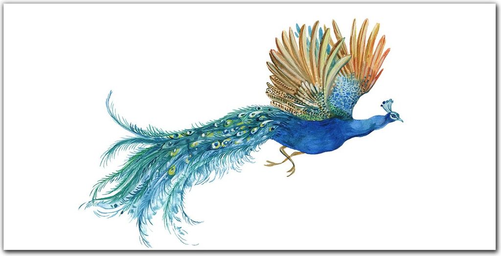 Coloray Bild aus Acryl 100 cm x 50 cm - Wanddekoration Küche Acrylblock mit Bild Dekoration Wohnzimmer Gehärtetes Acryl - Vogel Tier Pfote