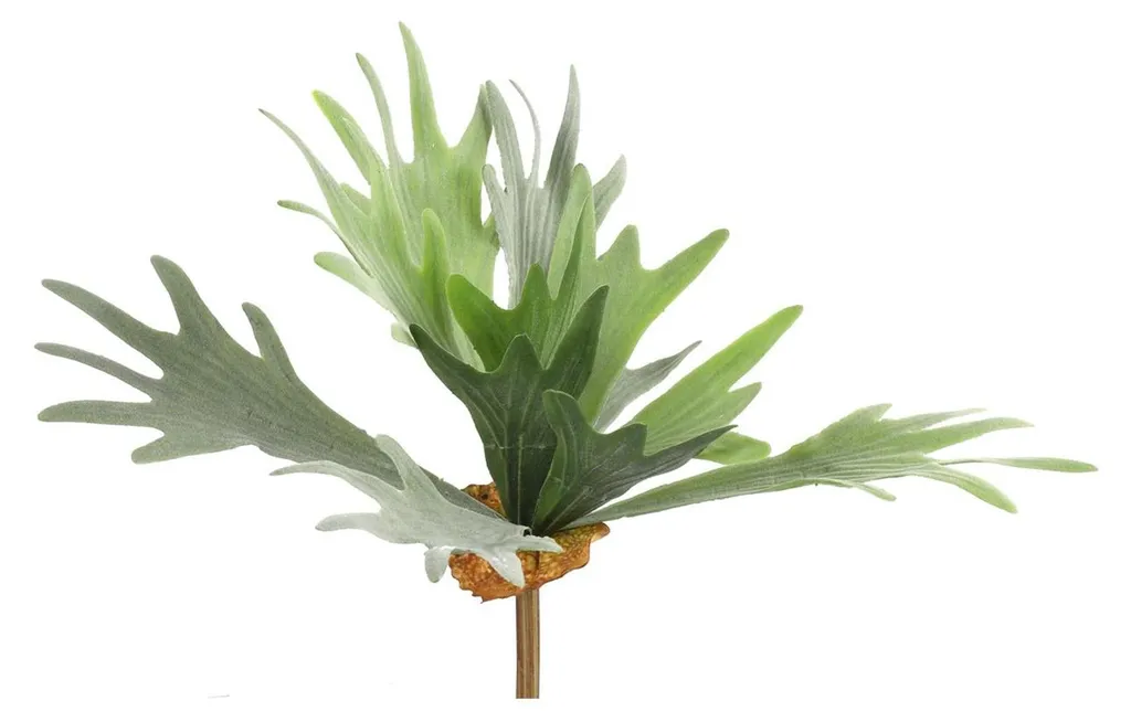 Plante Artificielle Verte Platycerium 63,5 cm : Déco Sans Aucun Entretien