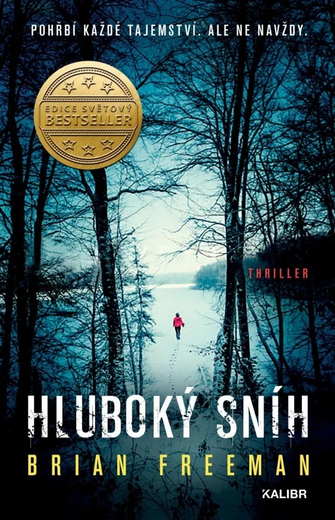 Hluboký sníh Brian Freeman - Le Thriller Captivant contre l'Ennui
