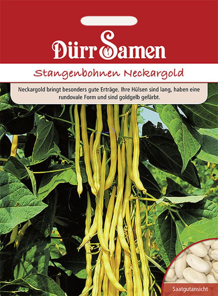 Dürr-Samen - Stangenbohnen Neckargold - Saatgut - 0325