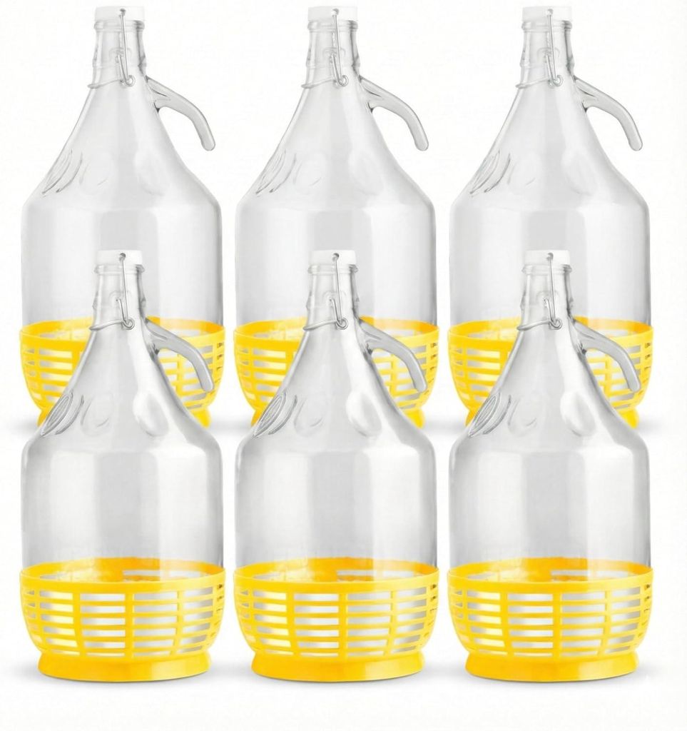 lilawelt24 6x 5L Glasballon Gallone - Bügelverschluss & Produktbild 
