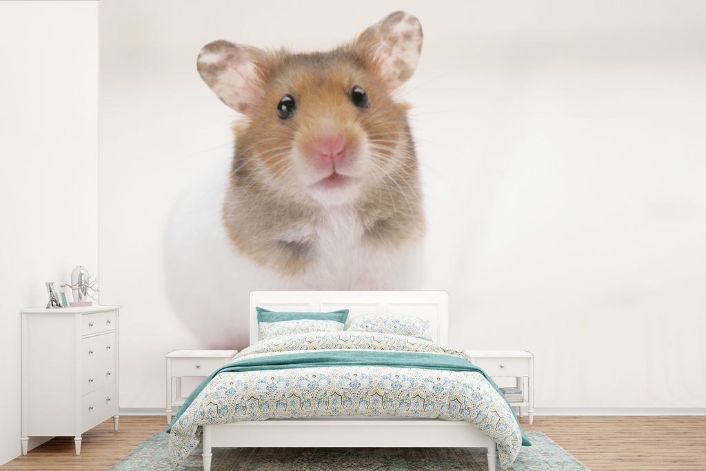 MuchoWow Fototapete für Wohnzimmer oder Schlafzimmer Wandtapete Vinyl Motivtapete Stehender brauner und weißer Hamster - 420x280 cm - Zimmer f...