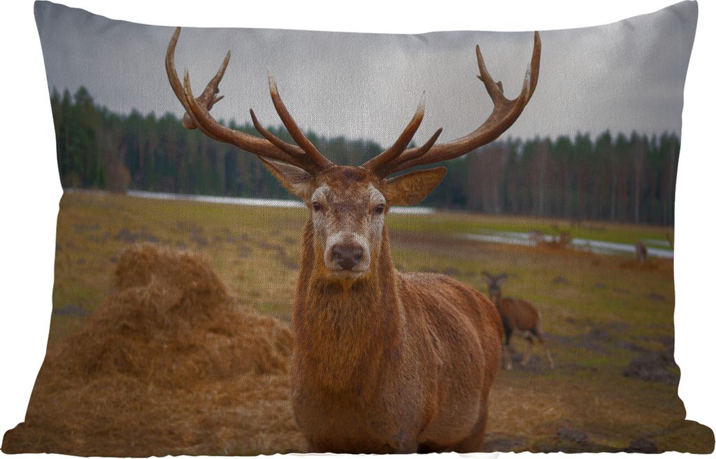 MuchoWow Outdoor Kissen - Rotwild - Natur - Wiese - 60x40 cm - Wetterfest - Lounge Kissen - Zierkissen - Kissen für Innenräume
