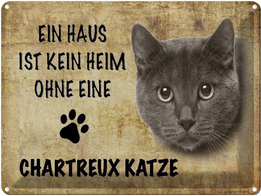 vianmo Blechschild 30x40 cm Chartreux Katze