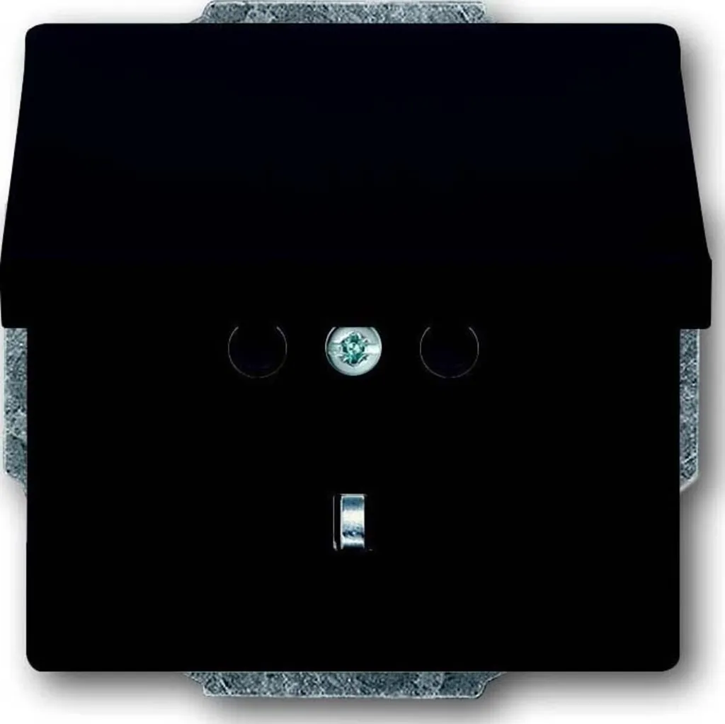 Prise de courant Busch-Jaeger carat anthracite brillant UP IP20 2011-81