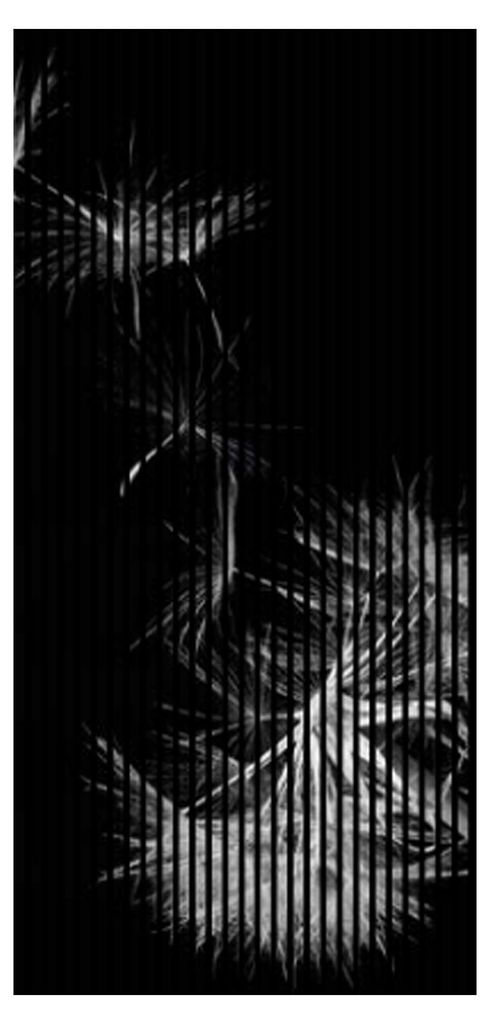 Akustikpaneele mit Digitaldruck Pusteblume01 19 x 1133 x 2400 mm Pusteblume MDF PET-Fasern Wandpaneele Weiß Schwarz 2 Einzelplatten