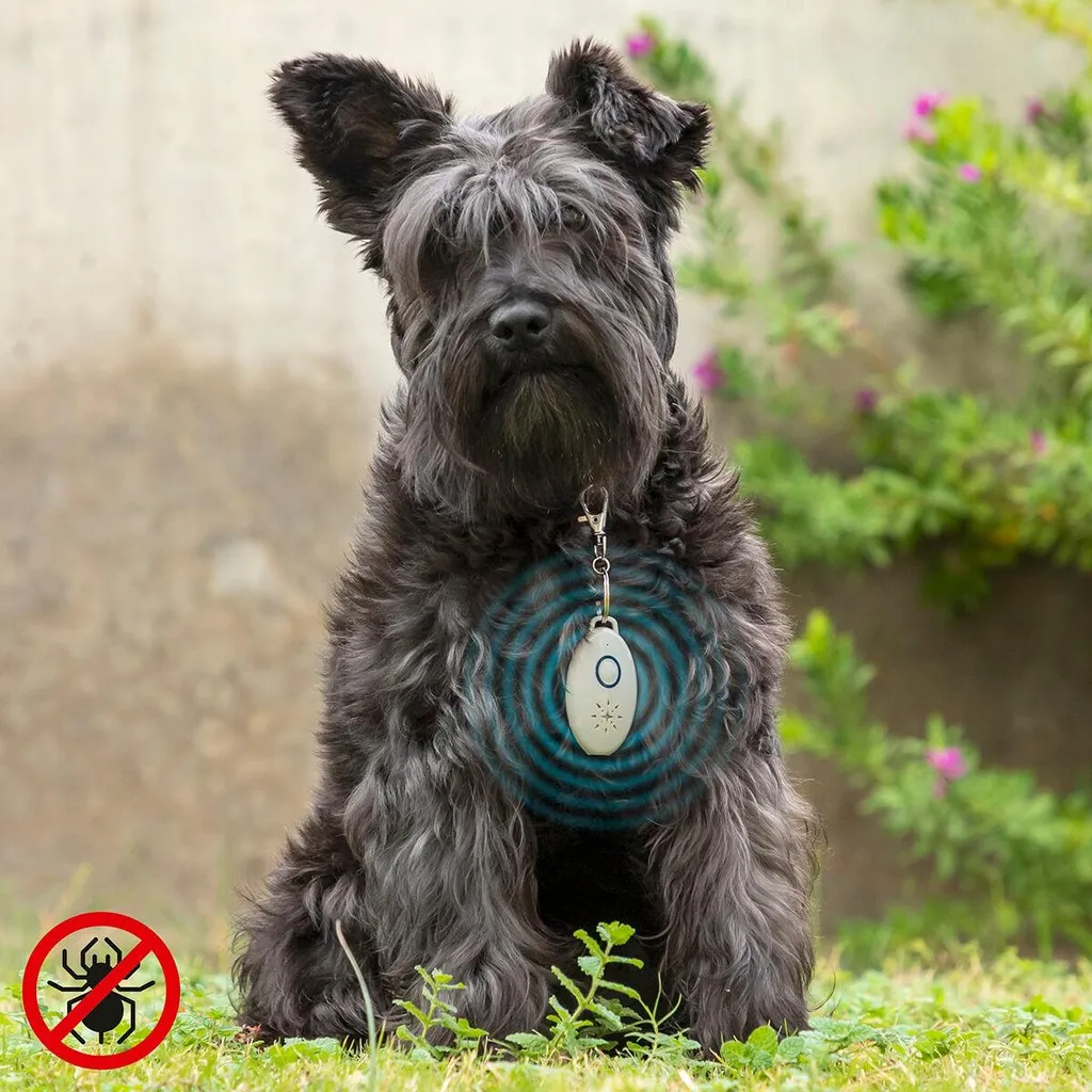 PetRep InnovaGoods: Repellente Parassiti USB per Animali Domestici