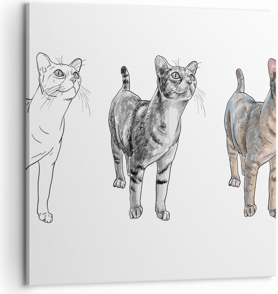 Bild auf Leinwand - Leinwandbild - Katzen Tiere Kinder Produktbild 