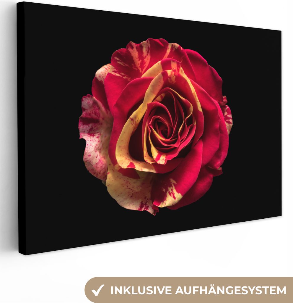 OneMillionCanvasses - Leinwandbilder - 150x100 cm, Blume - Rose - Rot - Schwarz, Wandbilder Kunstdruck Wanddekoration