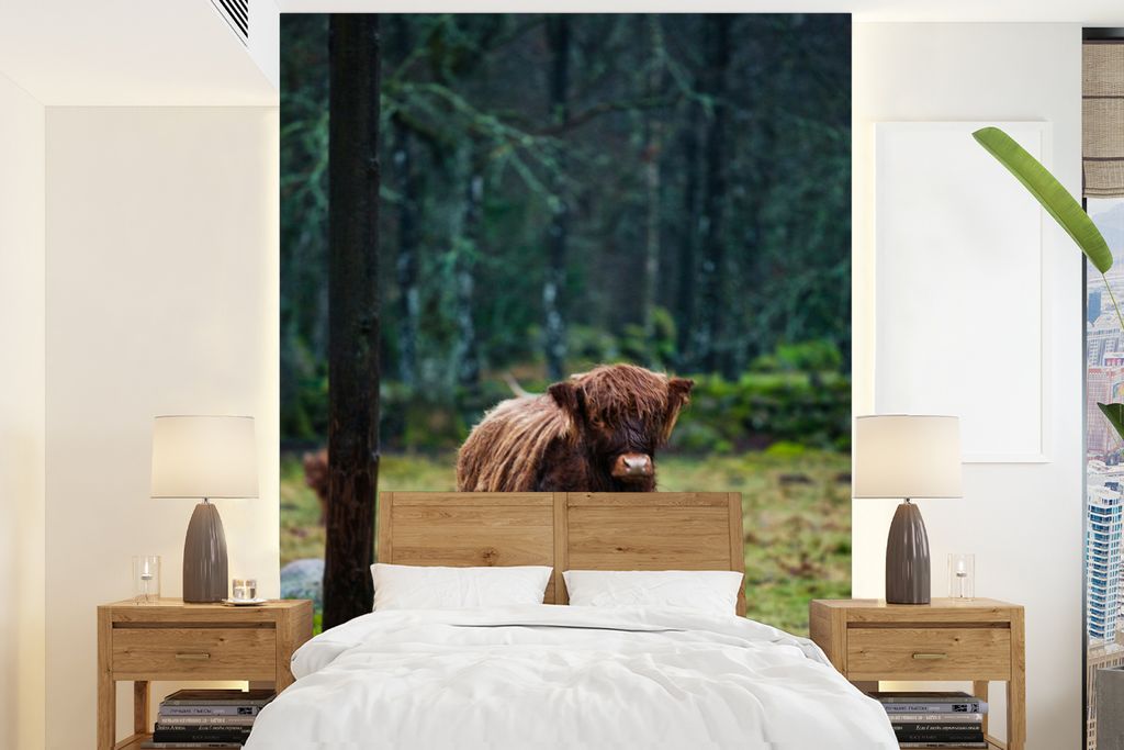 MuchoWow Fototapete für Wohnzimmer oder Schlafzimmer Wandtapete Vinyl Motivtapete Schottischer Hochländer - Wald - Moos - 205x280 cm